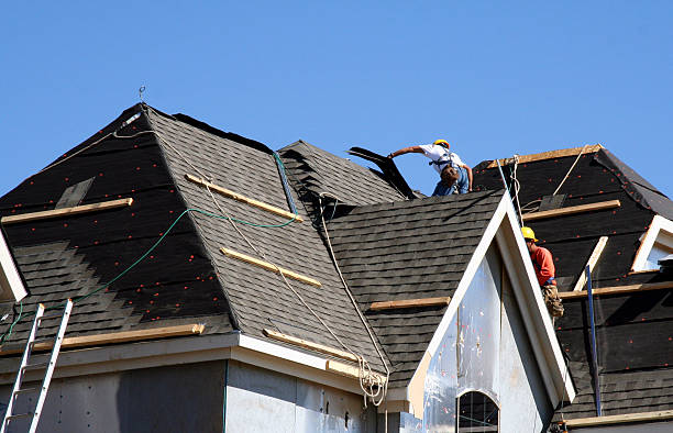 Best Shingle Roofing Installation  in Myrtle Grove, FL